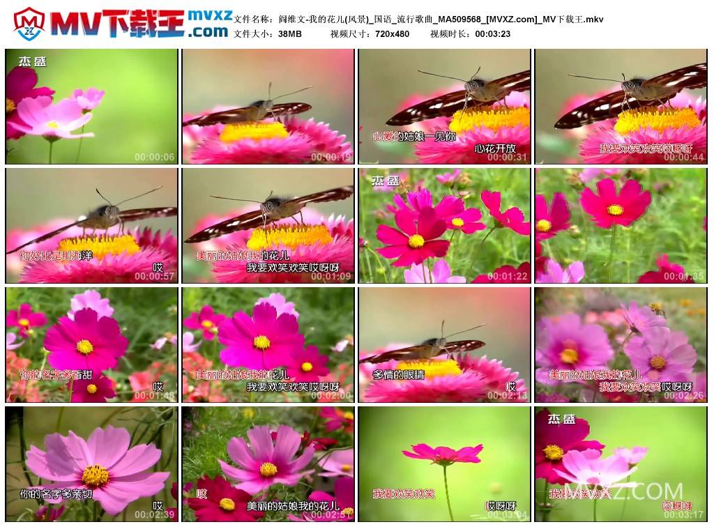 阎维文-我的花儿(风景)_国语_流行歌曲_MA509568